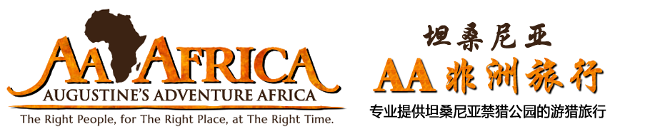 坦桑尼亚 - AA非洲旅行