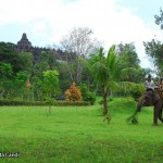 Borobudur-with-elephant-7
