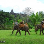 Borobudur-with-elephant-12