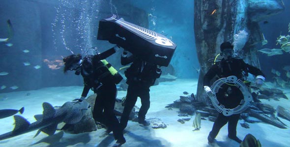 伦敦水族馆上演海底"葬礼" 意图增强动物保护意识