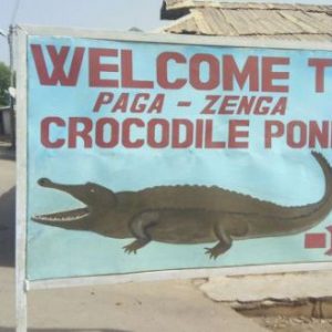 帕加鳄鱼池（Paga Crocodile Pond）