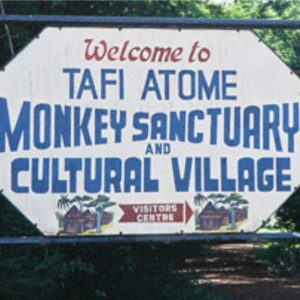 塔菲猴子保护区（Tafi Atome Monkey Sanctuary）