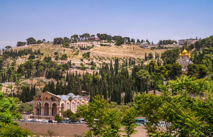 巴勒斯坦和佩特拉 | 8天