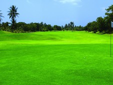 多拉达海滩高尔夫俱乐部（Playa Dorada Golf Club）