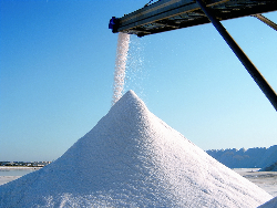 ʥѶ϶˹Salinas de San Fernando