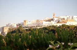 նVejer de la Frontera