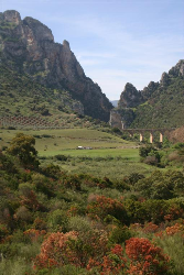 Va Verde de la Sierra·۹