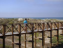 ӵ˹-ƶ̲Playa de Cortadura