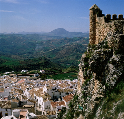 奥尔维拉城堡（Castillo de Olvera）