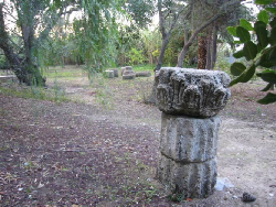 圣罗克（San Roque）- 喀提亚遗址（Ruinas de Carteia）