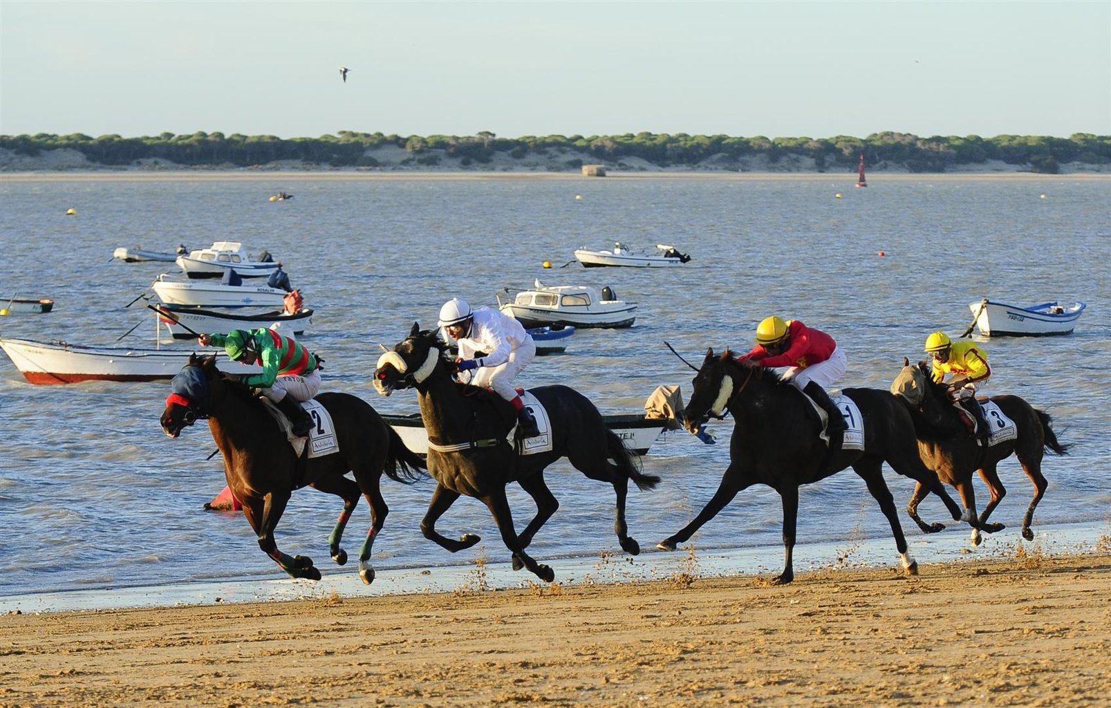 桑卢卡尔德瓦拉梅达（Sanlucar de Barrameda）-赛马