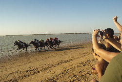 桑卢卡尔德瓦拉梅达（Sanlucar de Barrameda）-赛马