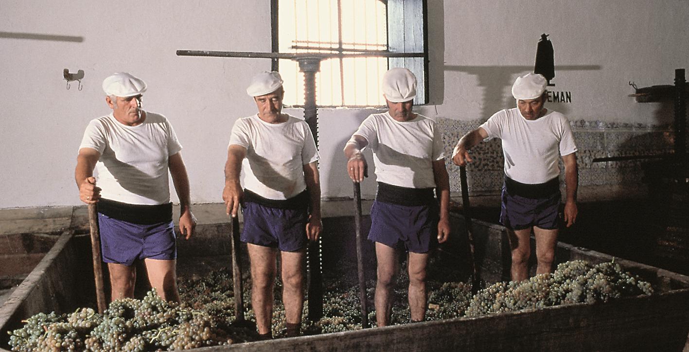 赫雷斯丰收节（Fiesta de la Vendimia de Jerez）