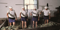 赫雷斯丰收节（Fiesta de la Vendimia de Jerez）