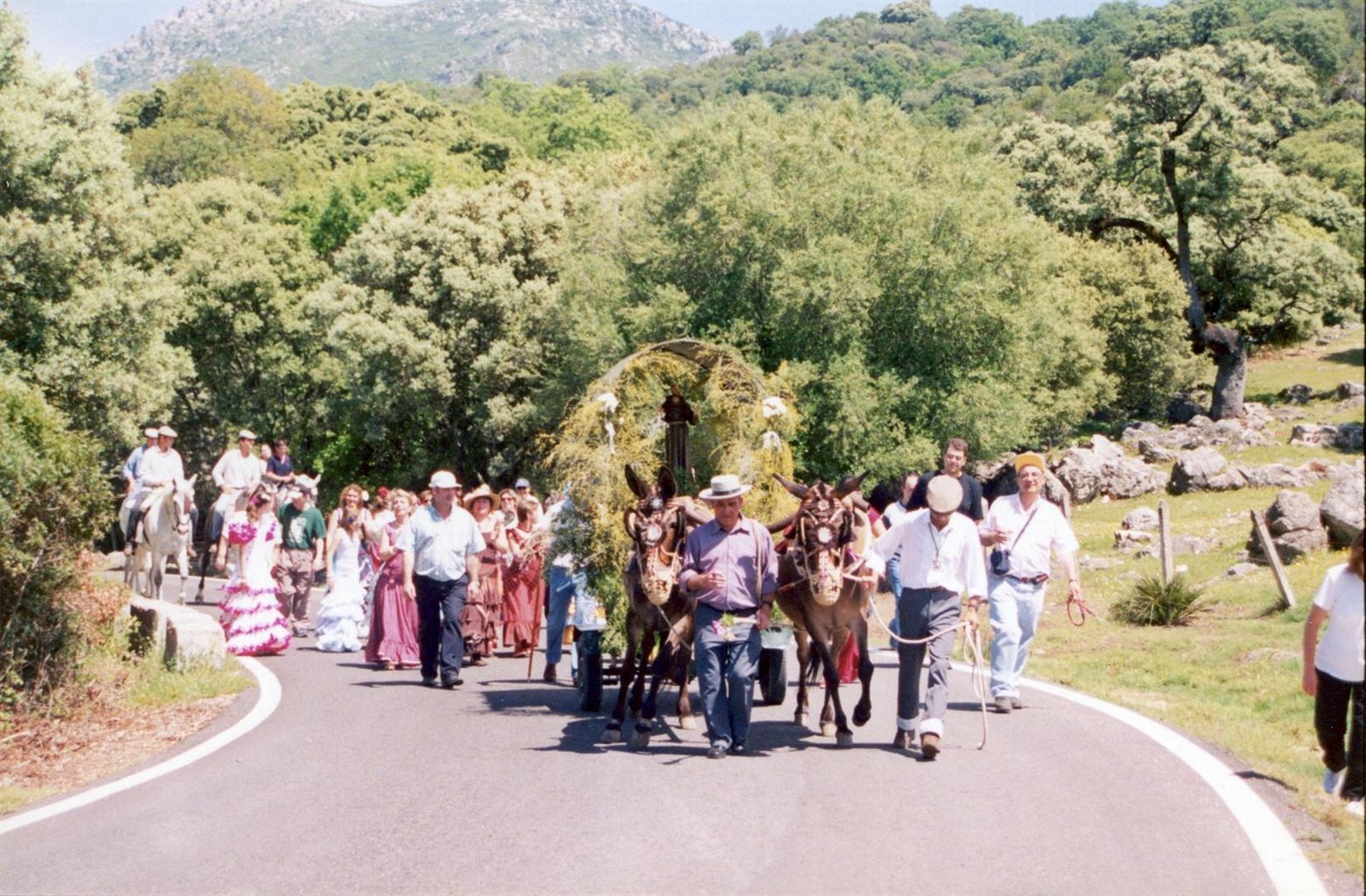 朝圣之旅（Romeria）