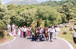 朝圣之旅（Romeria）