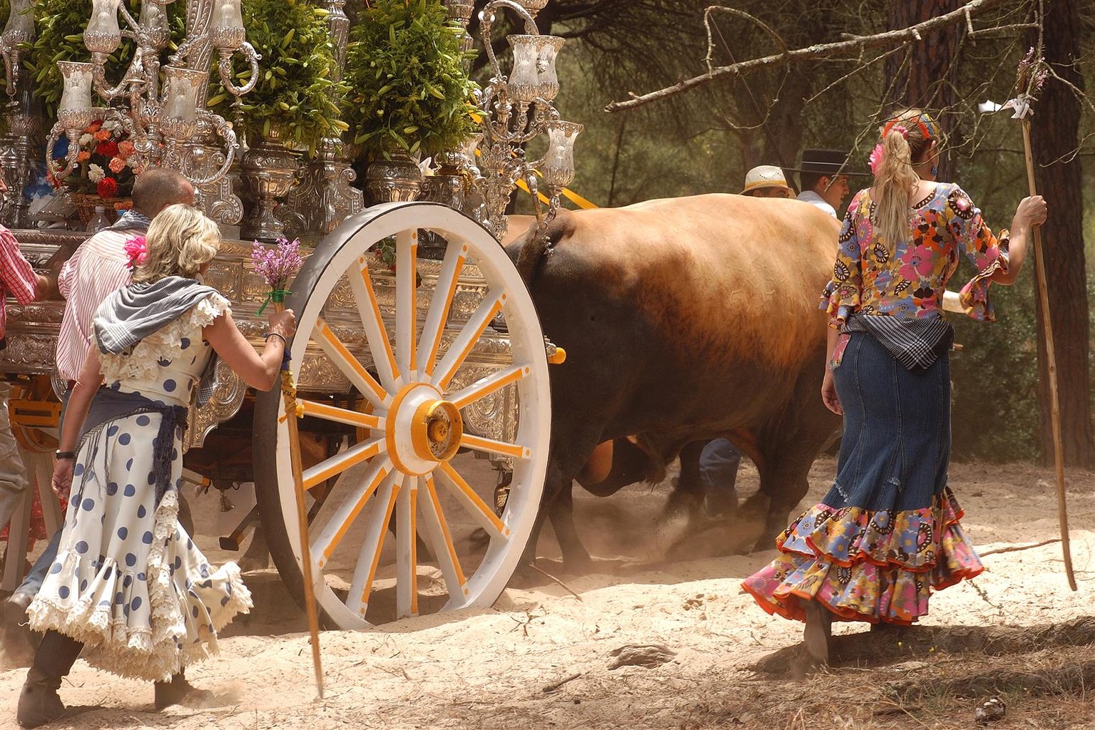 朝圣之旅（Romeria）