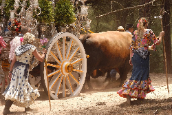 朝圣之旅（Romeria）