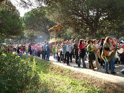 Romeria de San Sebastián en Conil科尼尔（Conil）圣塞巴斯蒂安的朝圣之旅