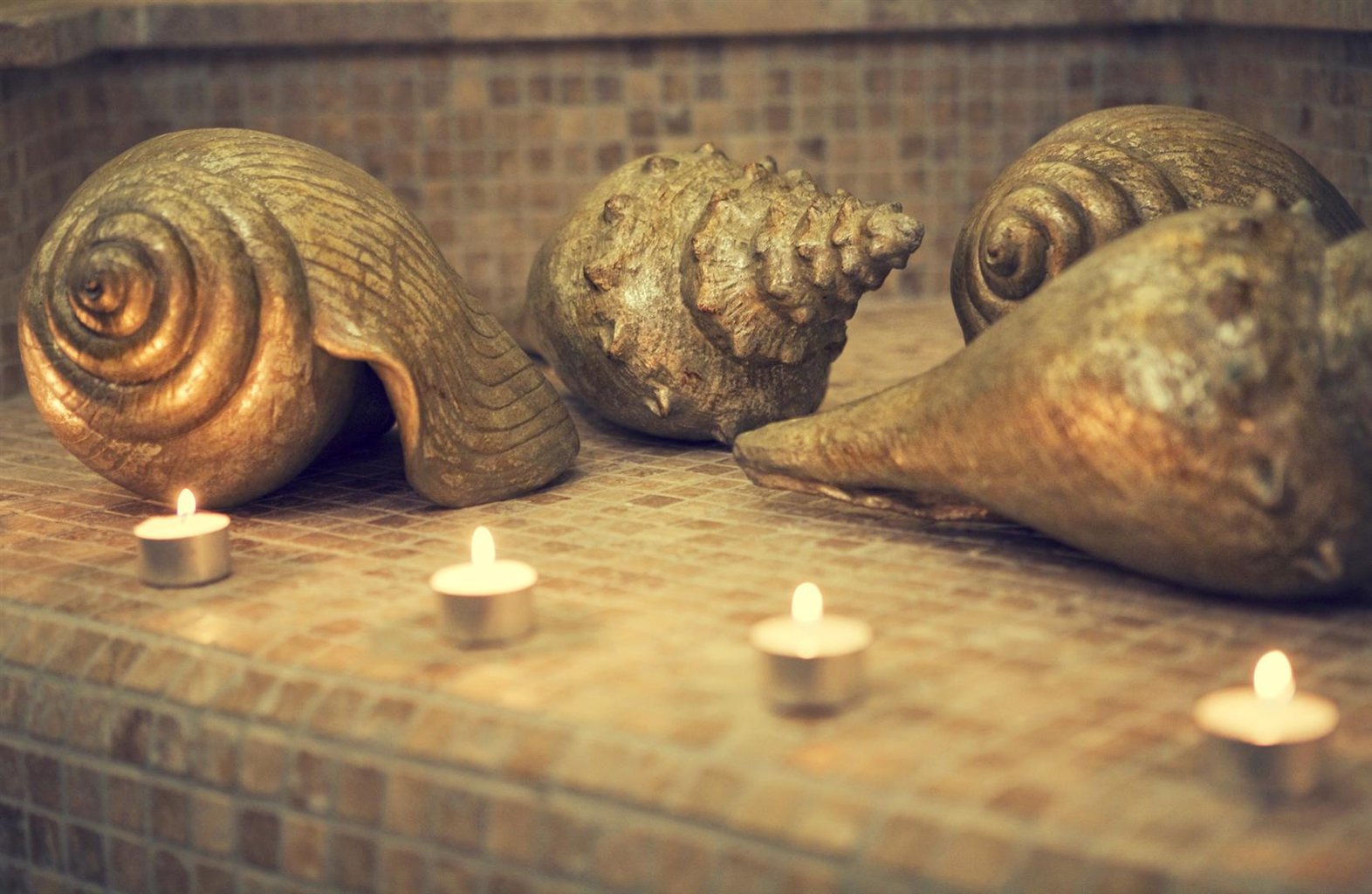 阿尔科斯花园水疗中心（Arcos Gardens Day Spa）