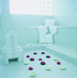 巴罗萨皇宫温泉酒店（Hotel Barrosa Palace and SPA）