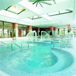 巴罗萨皇宫温泉酒店（Hotel Barrosa Palace and SPA）