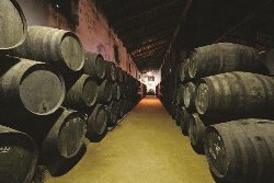 佩德罗•罗密欧酒庄（Bodega Pedro Romero）