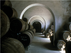 巴帝罗酒庄（Bodegas Barbadillo）