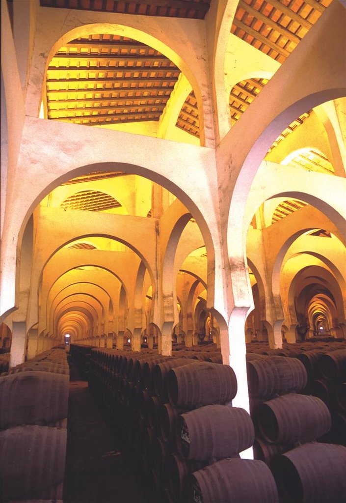 多米克酒庄（Bodegas Domecq）