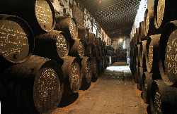 多米克酒庄（Bodegas Domecq）