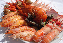 海鲜