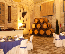 Bodega álvaro Domecq - Salón Torrestrella酒庄
