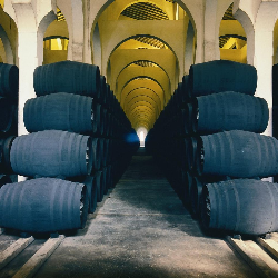 Bodega la Mezquita - Pedro Domecq酒庄