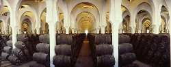 佩德罗多米克酒庄（Bodegas Pedro Domecq）