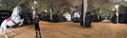 威廉姆斯和亨伯特酒庄（Bodegas Williams and Humbert）