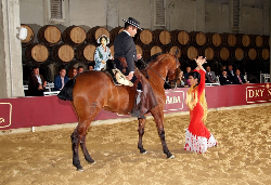 威廉姆斯和亨伯特酒庄（Bodegas Williams and Humbert）