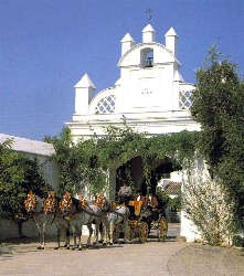 Cortijo La Peñuela庄园-马车