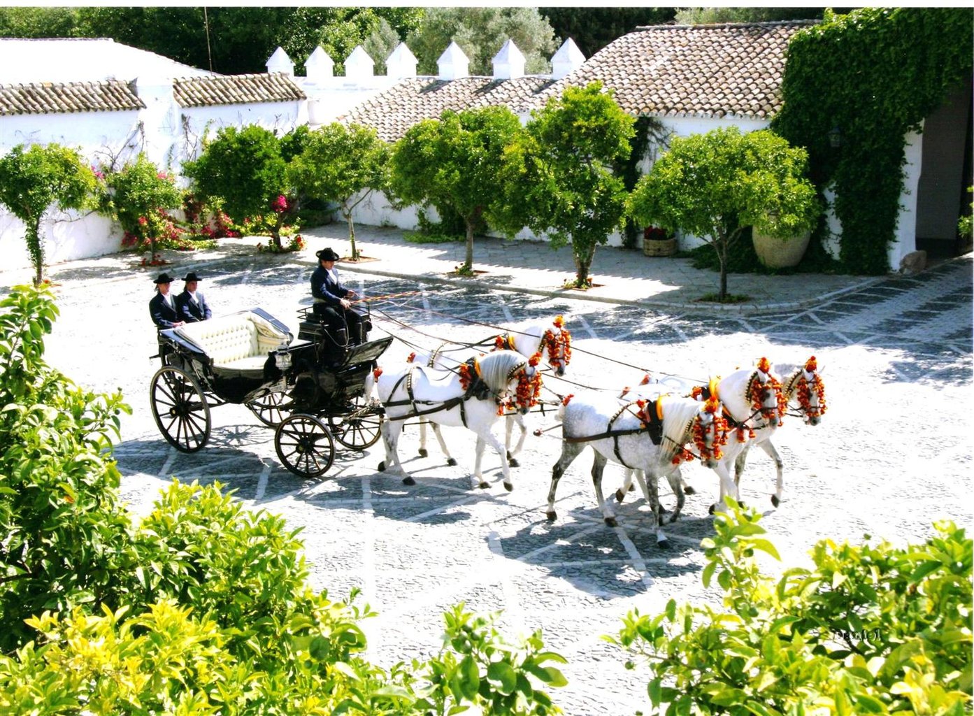 Cortijo La Peñuela y Fuente Rey庄园-马车