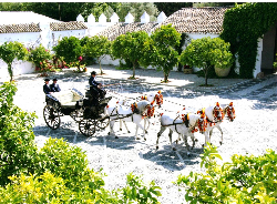 Cortijo La Peñuela y Fuente Rey庄园-马车