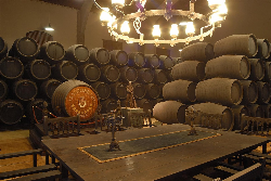 埃斯特韦斯集团-Bodegas Real Tesoro y Valdespino酒庄