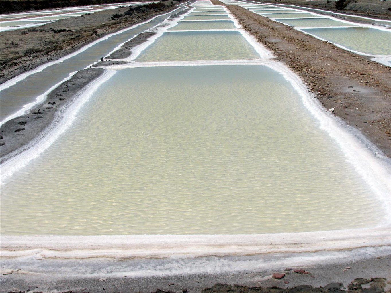 圣文森特盐场（Salinas San Vicente）