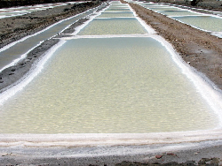 圣文森特盐场（Salinas San Vicente）