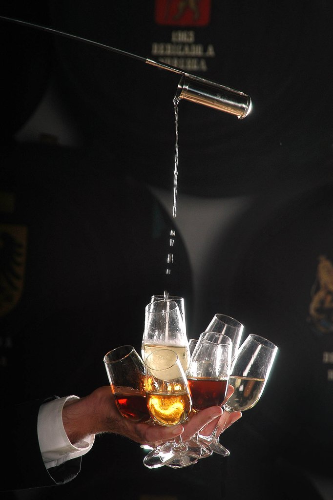 赫雷斯-德拉弗龙特拉的葡萄酒