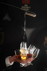 赫雷斯-德拉弗龙特拉的葡萄酒