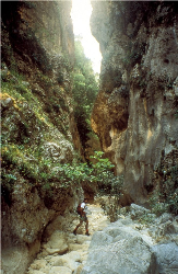 Garganta Verde峡谷