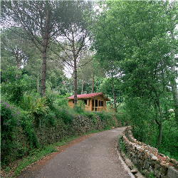 阿尔赫西拉斯-佩拉约（Pelayo）-赫塔格朗德酒店（Huerta Grande）