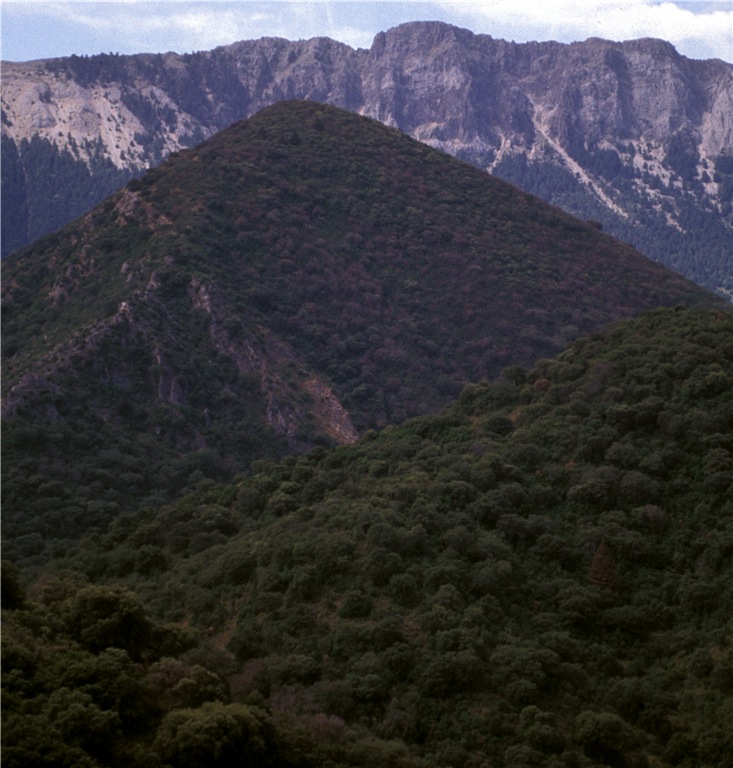 格拉萨莱马山脉自然公园（P. N. Sierra de Grazalema）