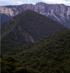 格拉萨莱马山脉自然公园（P. N. Sierra de Grazalema）
