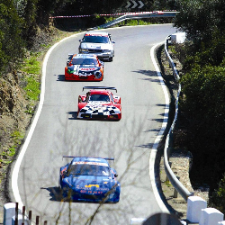 阿尔加汽车拉力赛（Rally Subida a Algar）