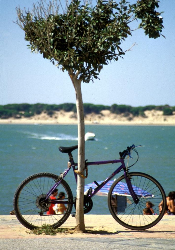 桑卢卡尔德瓦拉梅达（Sanlúcar de Barrameda）